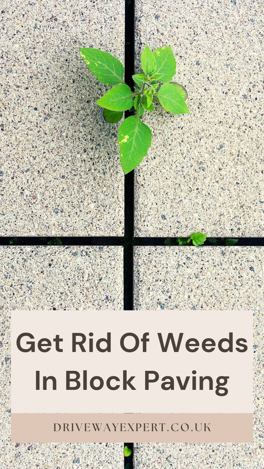 Get Rid Of Weeds In Block Paving Driveway Expert